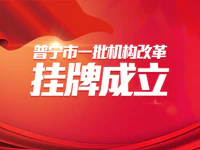 全新