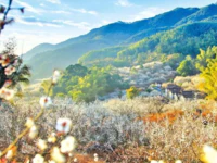 约起！这些乡村要火了，入选普宁市十大“美丽乡村”！