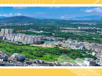 总投资7232万！普宁市印花行业绿岛等项目将启动建设！