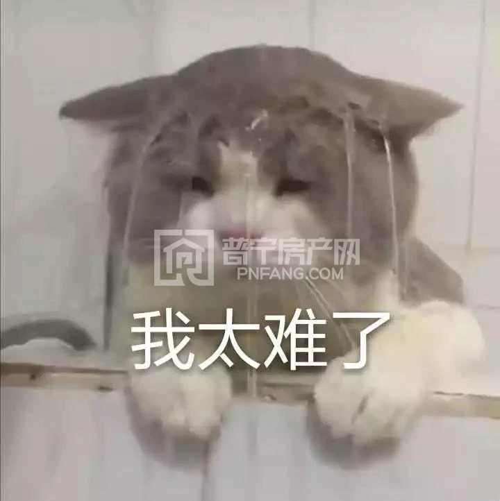 微信图片_20190903101813.jpg