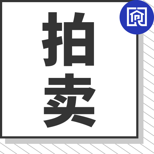起拍价76.22万！普宁高铁站广场地面临时停车场将进行拍卖！
